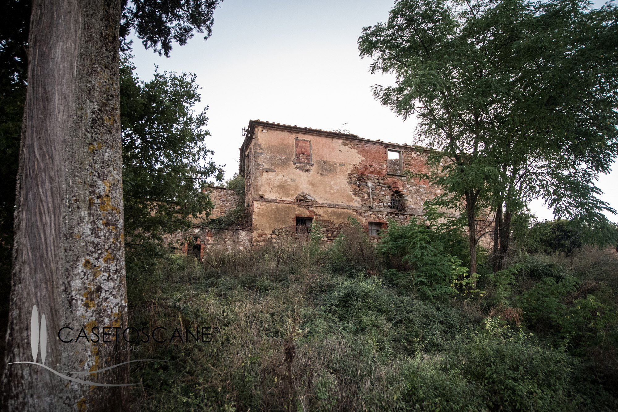 Tipico casale toscano da ristrutturare a Trequanda (Siena)