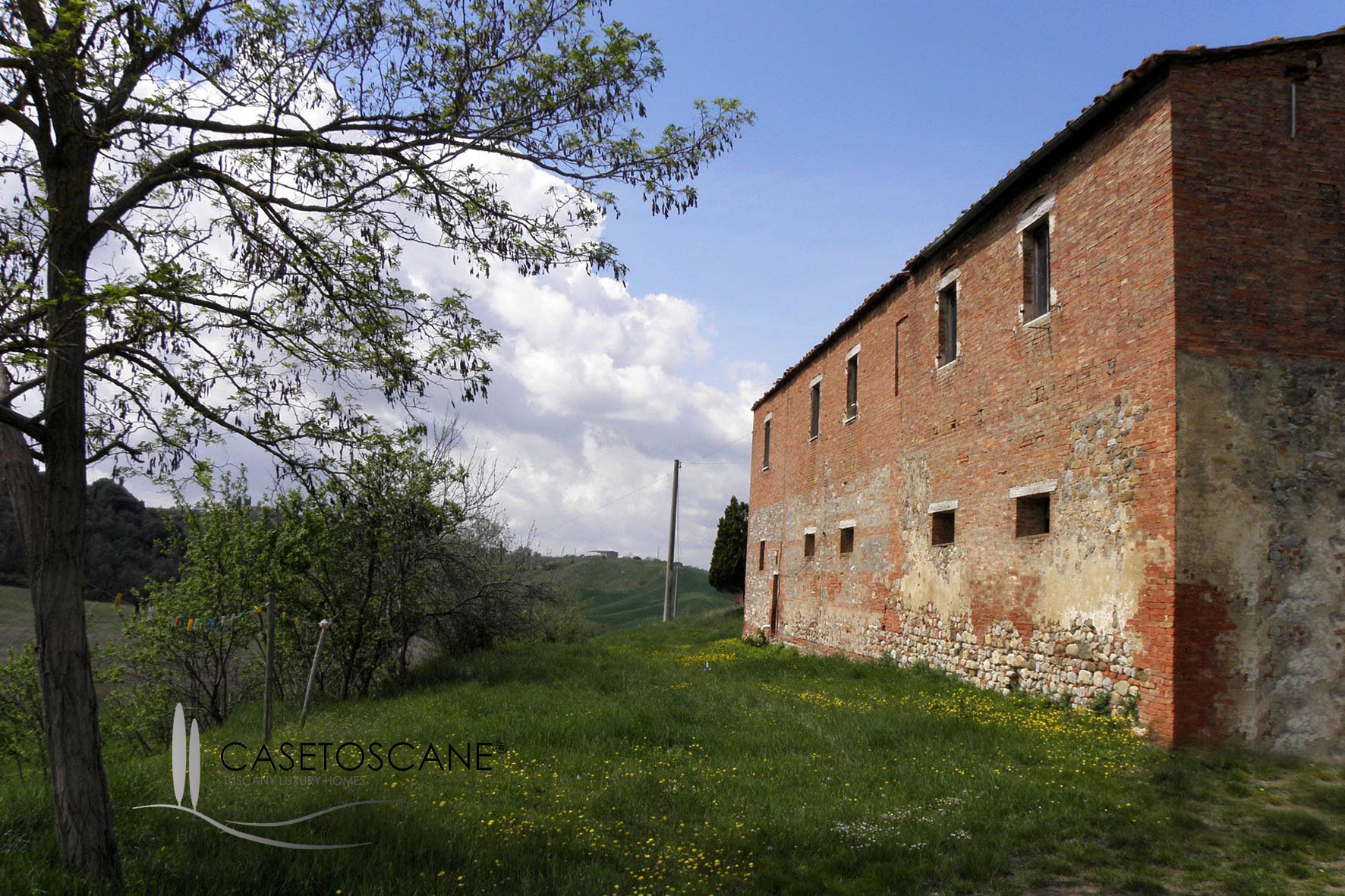 2031 - Antico casale da ristrutturare di mq.900 con terreno nelle colline delle Crete Senesi - Asciano (Siena).
