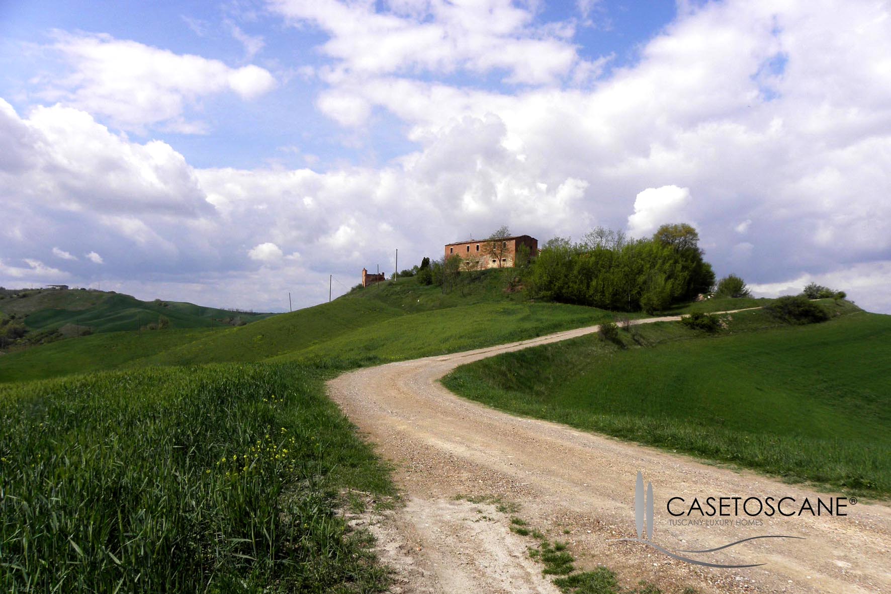 2031 - Antico casale da ristrutturare di mq.900 con terreno nelle colline delle Crete Senesi - Asciano (Siena).