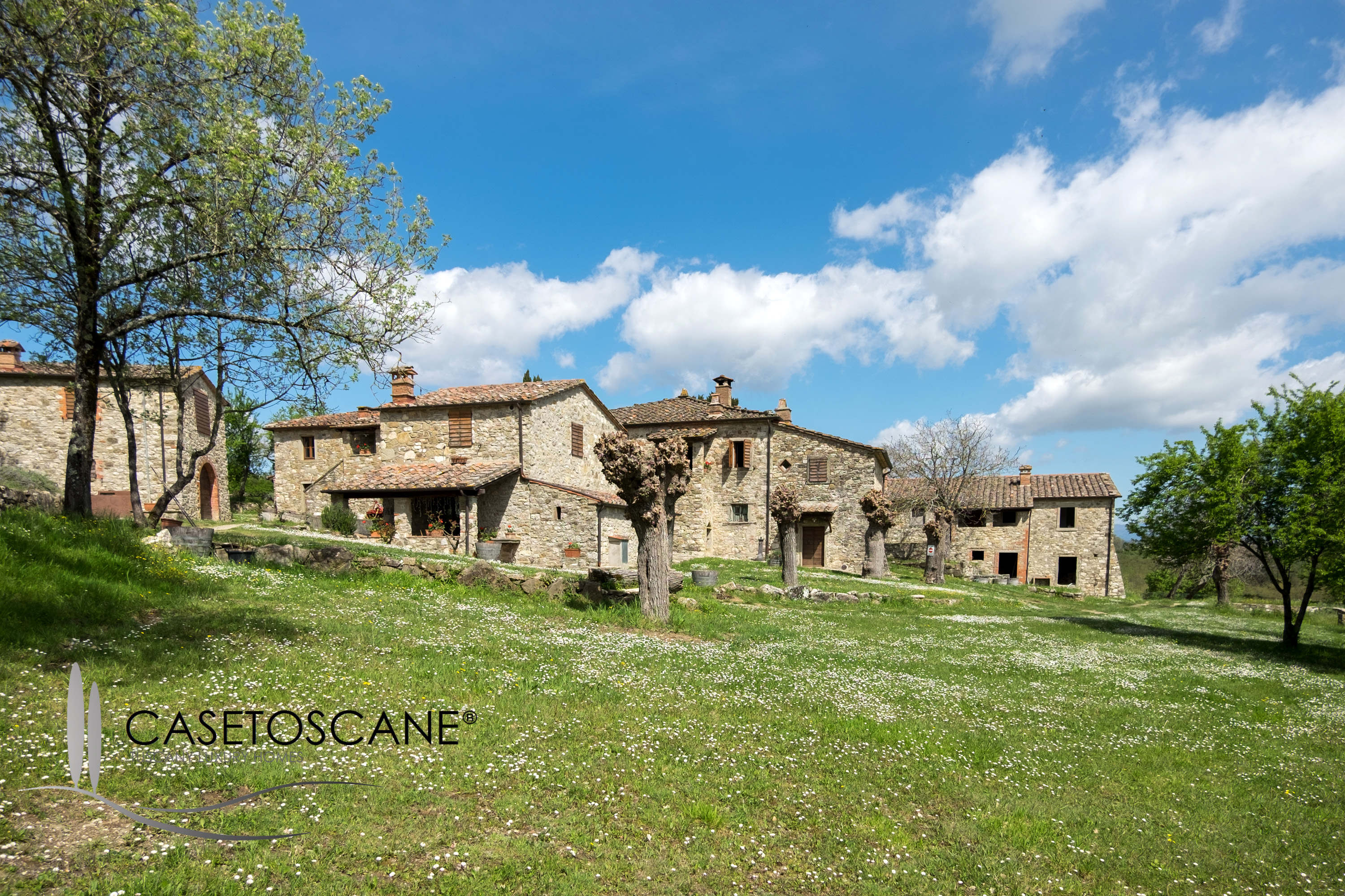 3067 - Antico complesso immobiliare di oltre mq.1.300 con terreno di ha.50 in straordinaria posizione nel Basso Casentino (AR)