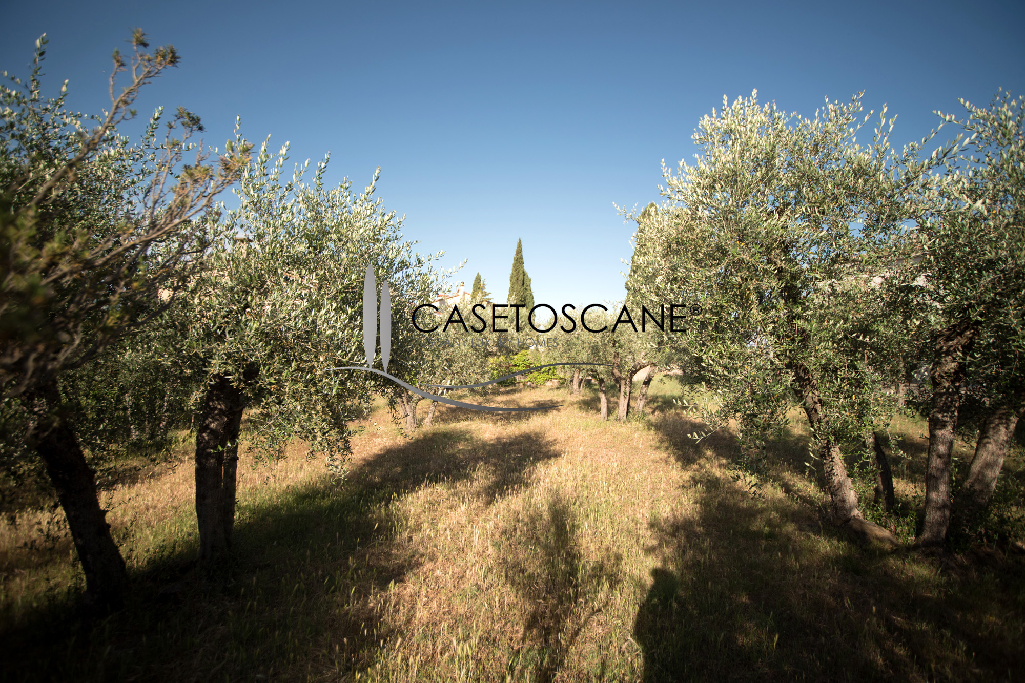 3110 - Porzione di casale di mq.370 circa con due appartamenti, terrazza di mq.80 e giardino di mq.1.100 a due passi dal centro storico di Lucignano (AR).