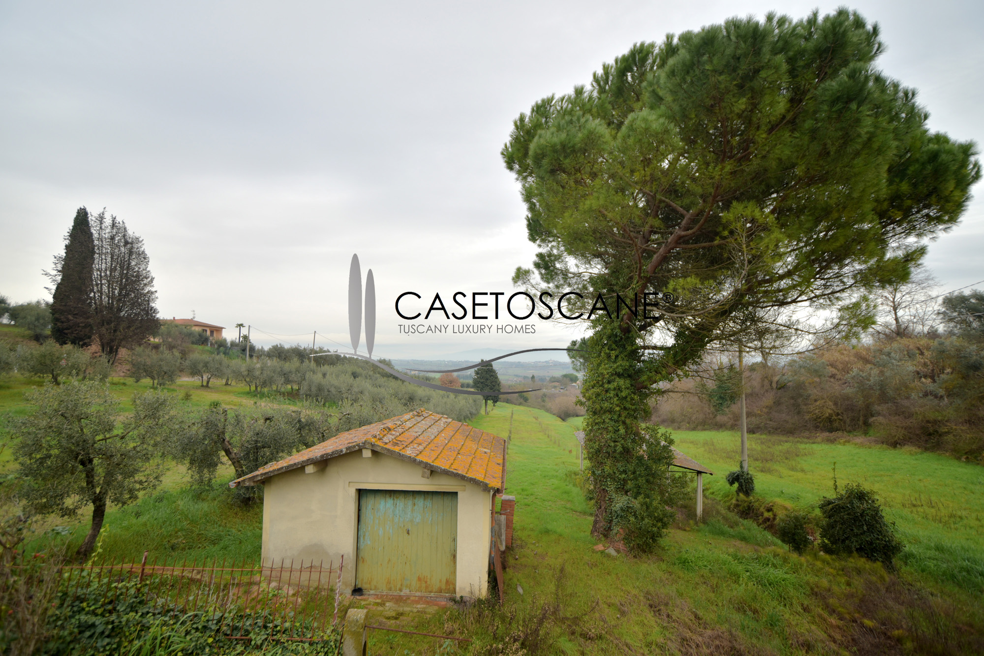 3100 - Abitazione bifamiliare di mq.300 circa da ristrutturare con terreno di quasi un ettaro a due passi dal centro storico di Lucignano (AR).