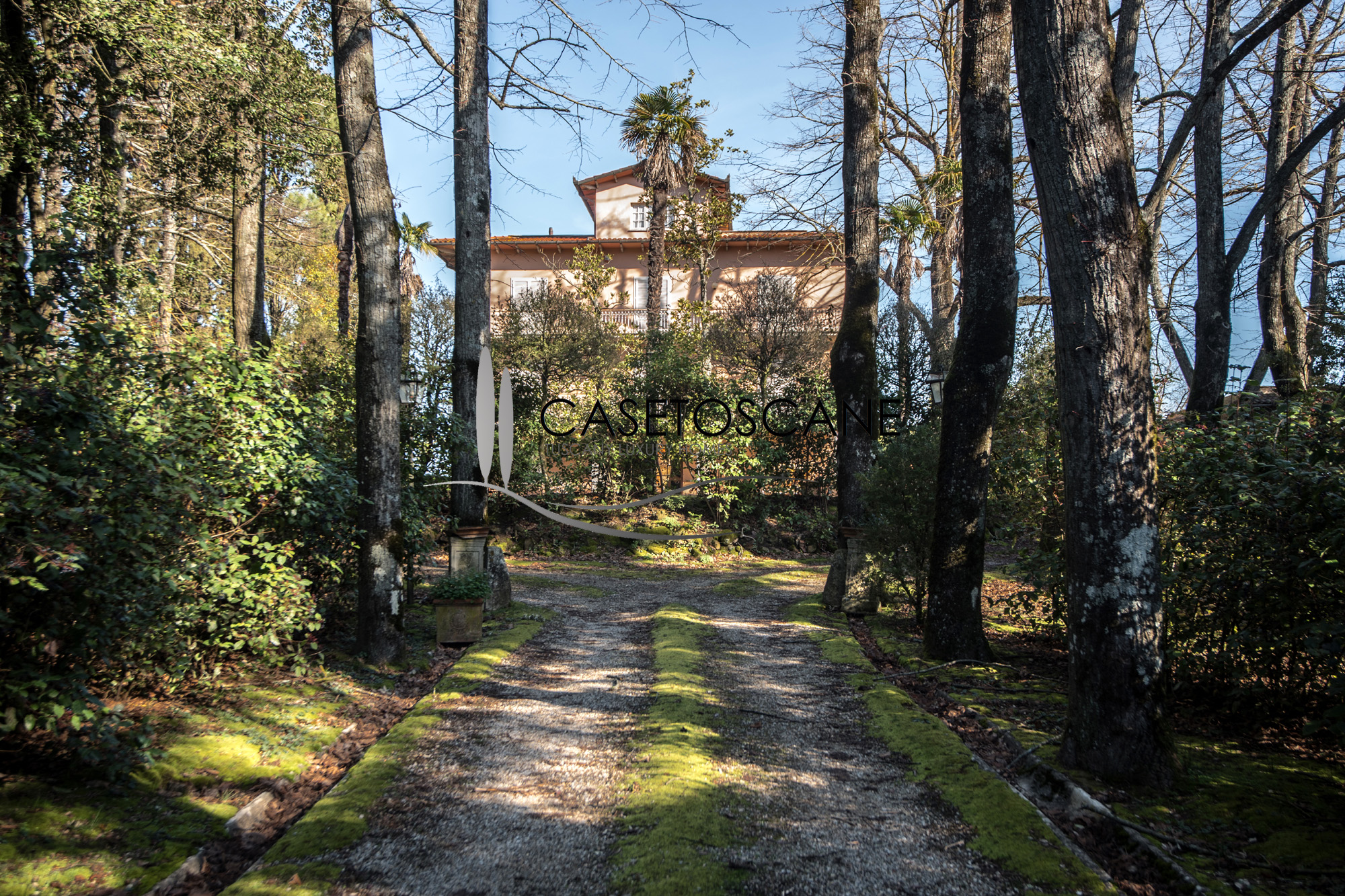 3180 - Prestigiosa villa di oltre mq.1.000 con due appartamenti, annessi, piscina, campo da tennis, parco e terreno di ha.6 a Lucignano (AR).