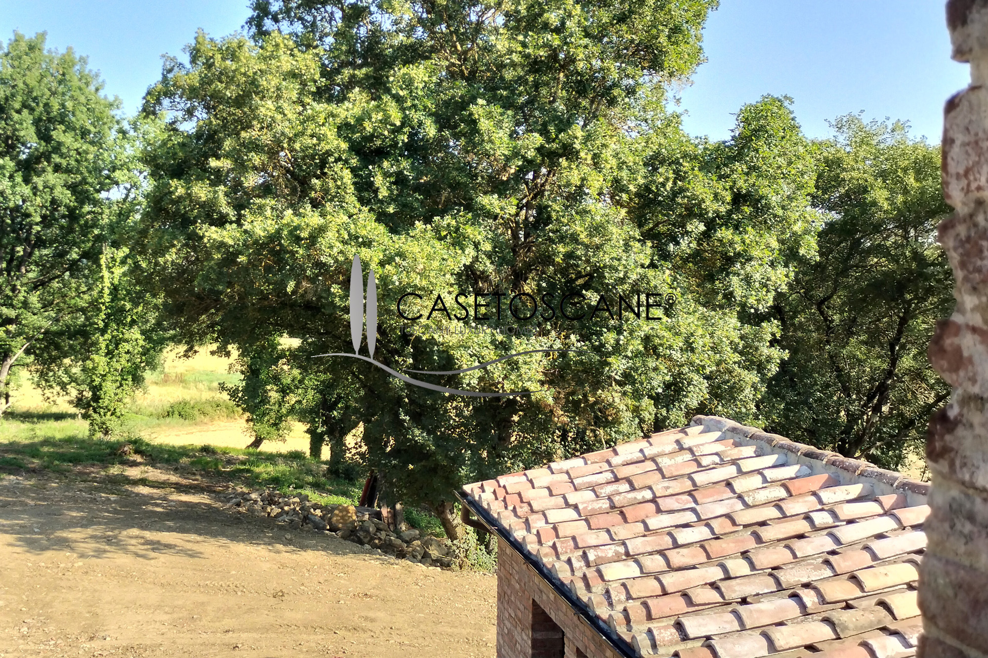1662 - Tipico casale di mq.275, totalmente ristrutturato strutturalmente, con ha.2 di terreno circostante a Lucignano (AR).