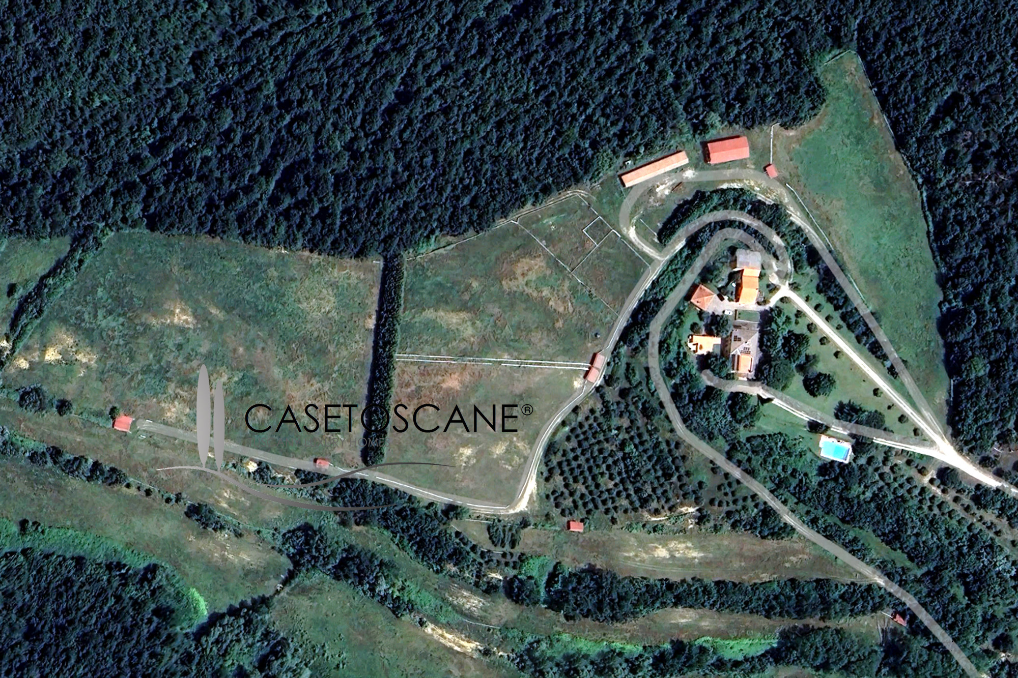 3212 - Azienda agricola in magnifica posizione con villa di mq.500, dependance, annessi e terreno di ha.50 con scuderie per cavalli a Trequanda (SI).