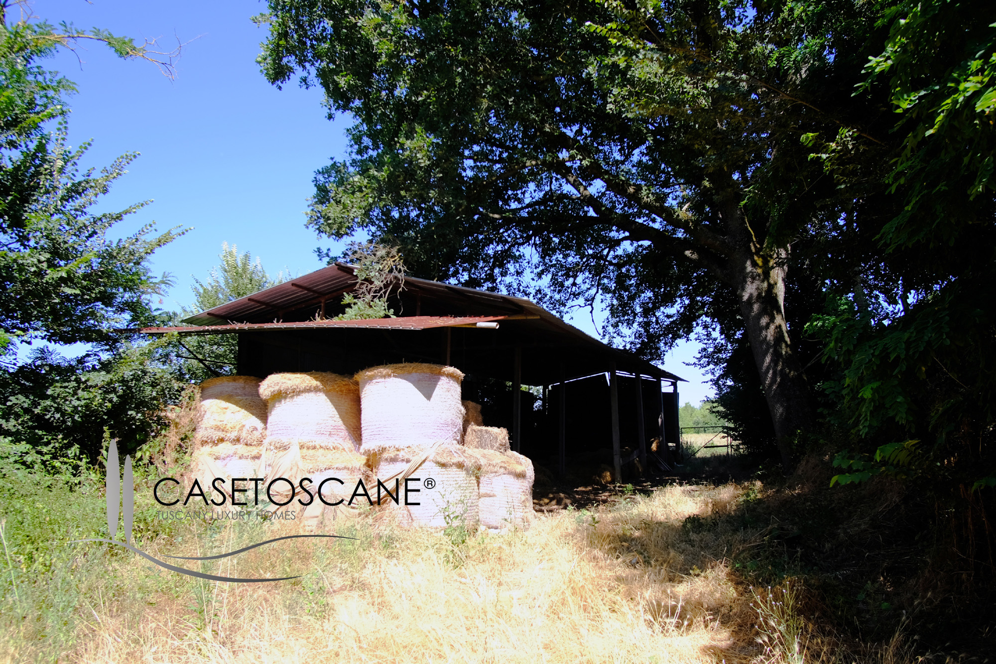 3225 - Piccola azienda agricola con abitazione singola, altro rudere da recuperare, annessi e terreno seminativo di ha.7 a Lucignano (AR).