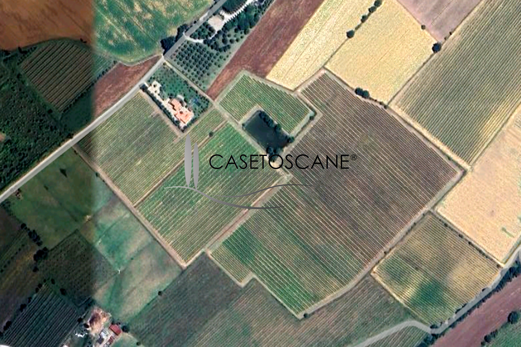 3236 - Vigneto di ha.10 con produzione di vino DOC Cortona, Sirah, Merlot e IGT bianco e rosso nella bellissima campagna di Cortona (AR).