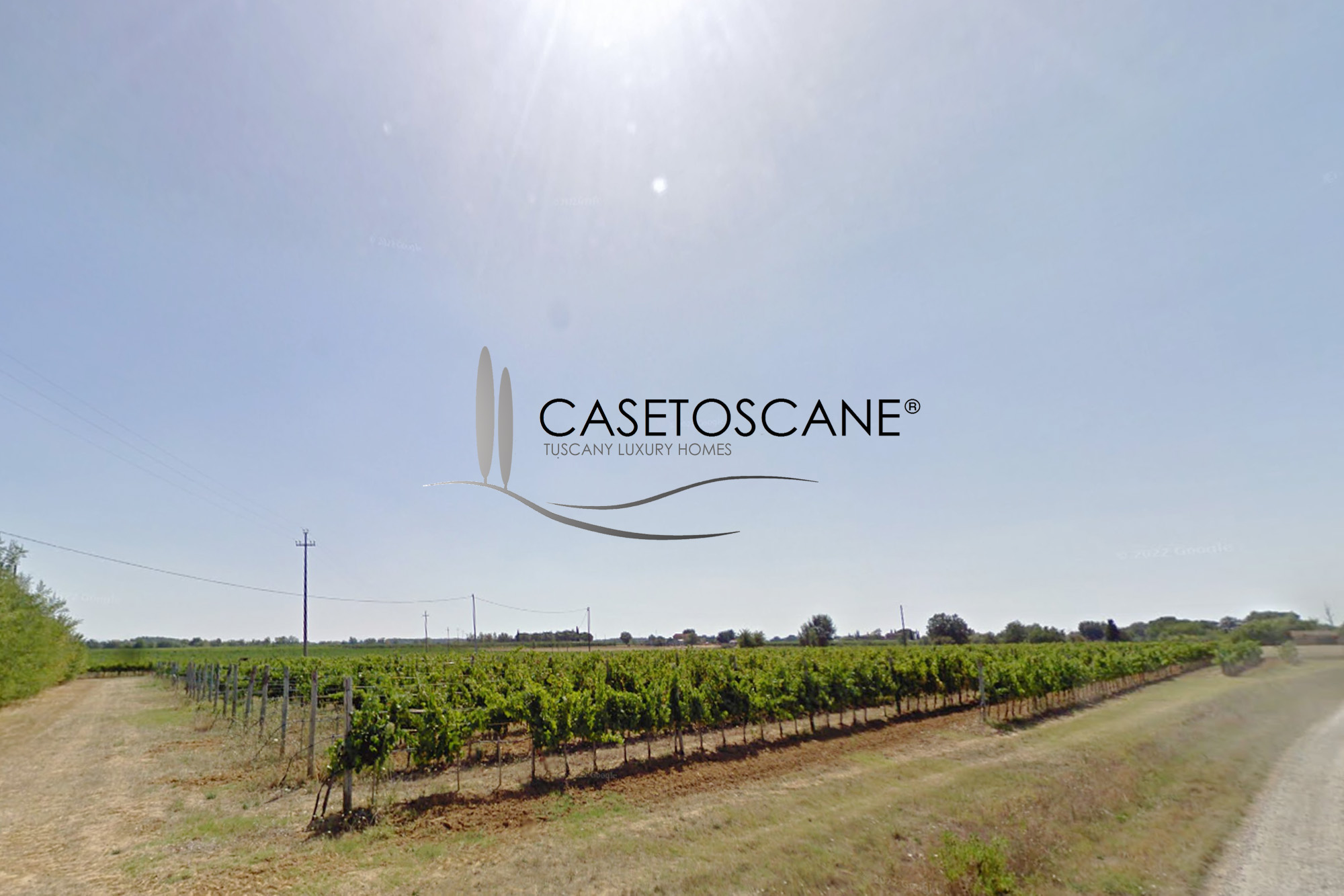 3236 - Vigneto di ha.10 con produzione di vino DOC Cortona, Sirah, Merlot e IGT bianco e rosso nella bellissima campagna di Cortona (AR).