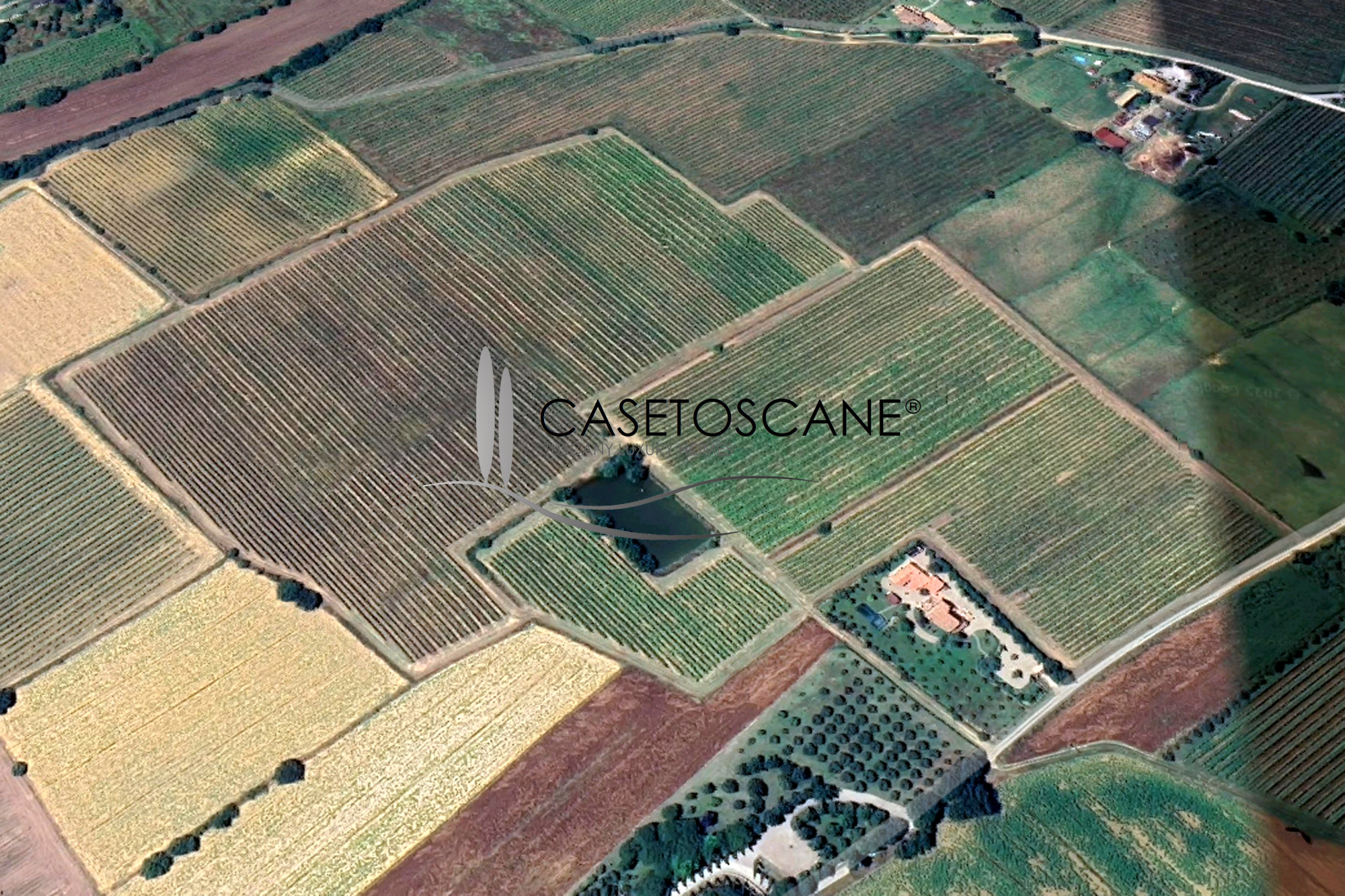 3236 - Vigneto di ha.10 con produzione di vino DOC Cortona, Sirah, Merlot e IGT bianco e rosso nella bellissima campagna di Cortona (AR).