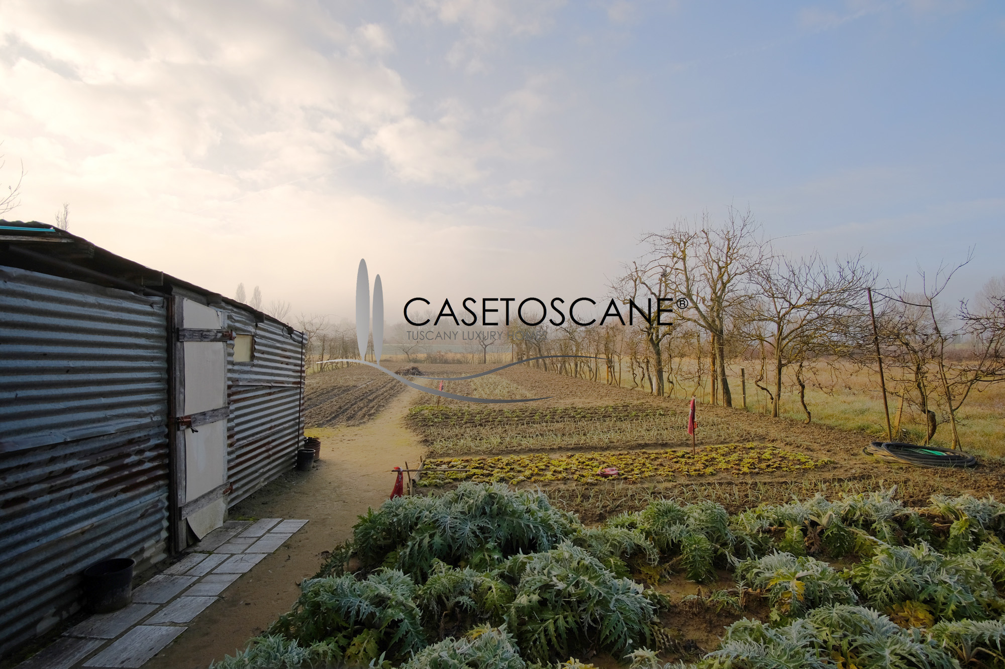 3239 - Singola di mq.185 in buone condizioni generali, con ampio terreno di mq.2.000 circa con annessi a due passi da Sinalunga (SI).