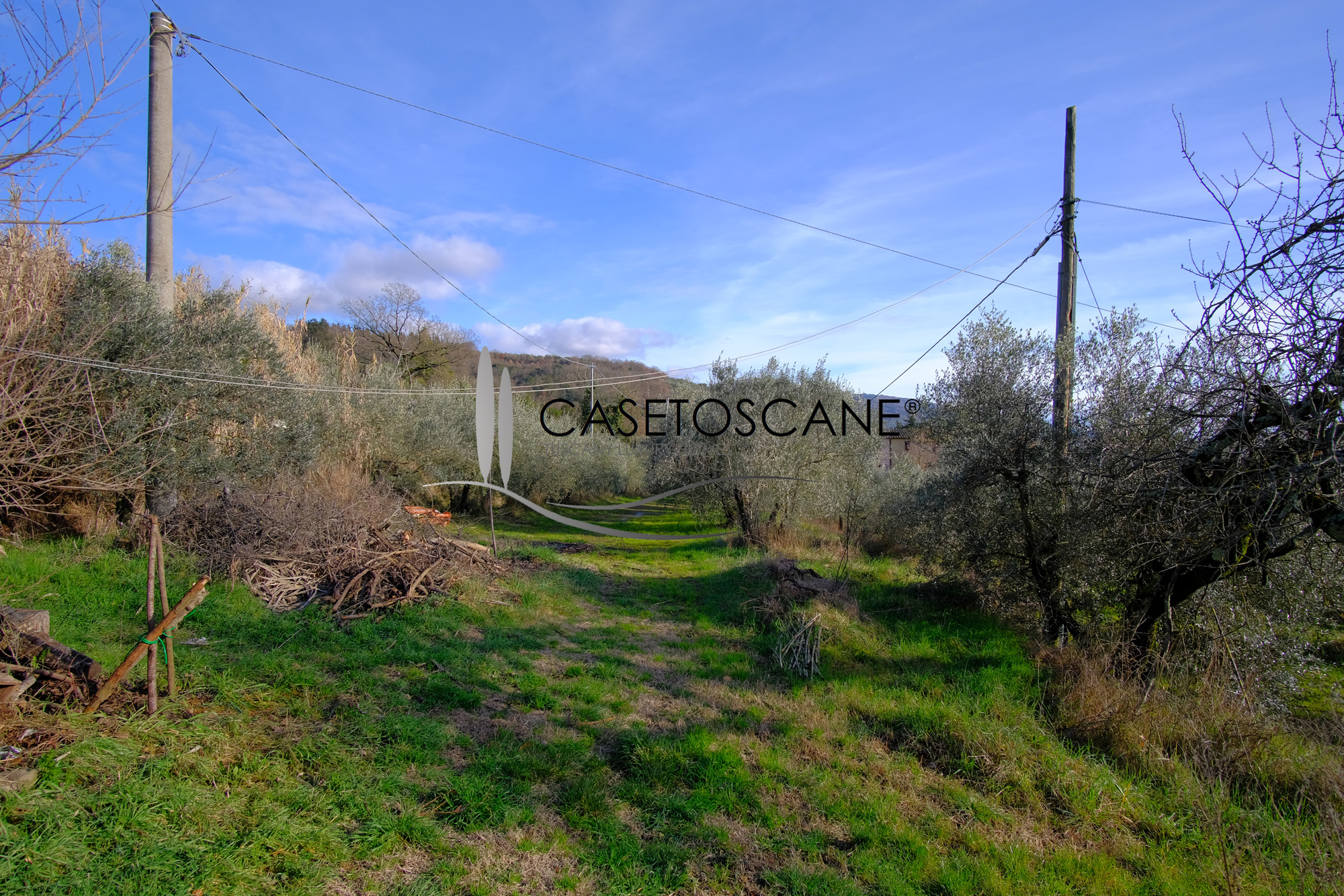 S262 - Antico casale di mq.310 completamente da ristrutturare con oltre un ettaro di oliveto e seminativo, in bellissima posizione collinare a 15 minuti da Arezzo.