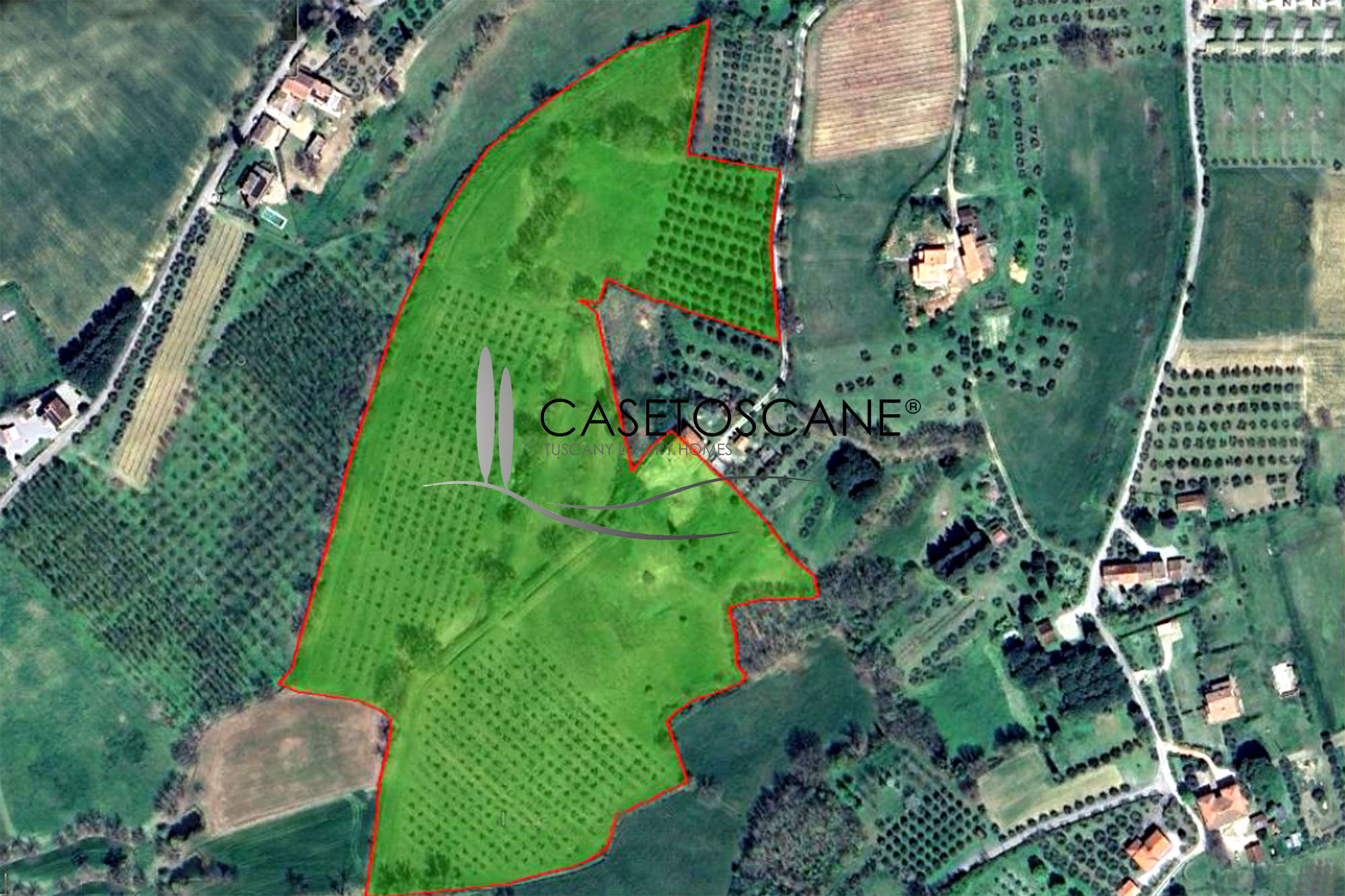 3257 - Proprietà di ha.7 in posizione panoramica, con progetto approvato per demolizione e ricostruzione per abitazione e accessori di mq.360 a Foiano della Chiana (AR).